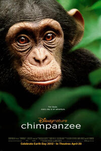 Chimpanzee Movie Poster