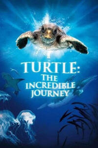 Turtle: The Incredible Journey Movie Poster