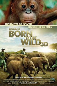 Born to Be Wild 3D movie poster