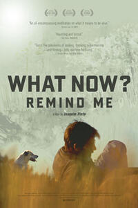 What Now Remind Me Times Movie Tickets Showtimes Fandango
