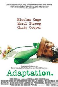 Adaptation / Raising Arizona Movie Poster
