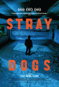 Stray Dogs (2013) Movie Poster
