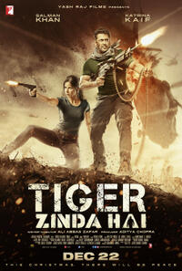 Tiger Zinda Hai Movie Poster