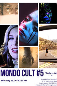 Mondo Cult Film Variety Showcase 5: Endless Love Movie Poster