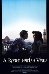 Double Feature A Room With A View Slaves Of New York