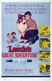 Double Feature: Lassie's Great Adventure / The Green Hornet movie poster