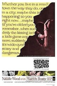 Splendor in the Grass (1981) Movie Poster