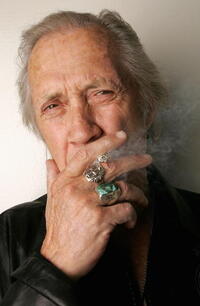 "Epic Movie" star David Carradine at the 2007 World Talent Style Lounge at the Beverly Hilton.