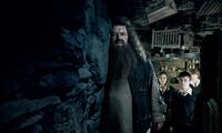Robbie Coltrane as Rubeus Hagrid, Emma Watson, Daniel Radcliffe and Rupert Grint in "Harry Potter and the Order of the Phoenix."