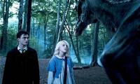Daniel Radcliffe and Evanna Lynch in "Harry Potter and the Order of the Phoenix."