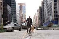 Will Smith in "I Am Legend."