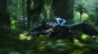 A scene from "Avatar."