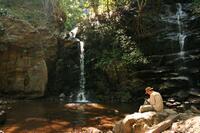 A scene from "The Elephant King."