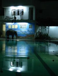 A scene from "The Elephant King."