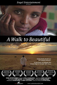 Poster art for "A Walk to Beautiful."