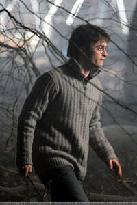 Daniel Radcliffe in "Harry Potter and the Deathly Hallows: Part 1"