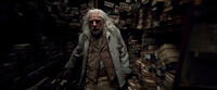 Rade Serbedzija as Gregorovitch in "Harry Potter and the Deathly Hallows: Part 1"