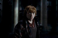 Rupert Grint in "Harry Potter and the Deathly Hallows: Part 1: