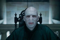 Ralph Fiennes as Lord Voldemort in "Harry Potter and the Deathly Hallows - Part 1 "