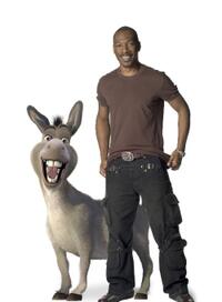 Eddie Murphy voices Donkey in "Shrek Forever After."