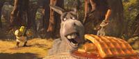 Mike Myers voices Shrek and Eddie Murphy voices Donkey in "Shrek Forever After."