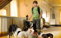 Jake T. Austin in "Hotel for Dogs."