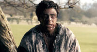 Benicio Del Toro in "The Wolfman."