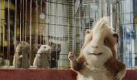 Mice and Hurley in "G-Force."