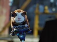 Darwin in "G-Force."