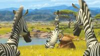 Marty the zebra (Chris Rock) in "Madagascar: Escape 2 Africa."