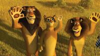 Alpha lion Zuba (Bernie Mac), his wife (Sherri Shepherd) and his son, Alex (Ben Stiller) in "Madagascar: Escape 2 Africa."