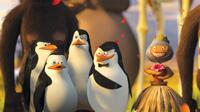 Penguins Rico, Private (Christopher Knights), Kowalski (Chris Miller) and the Skipper (Tom Mcgrath) in "Madagascar: Escape 2 Africa."