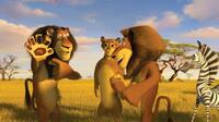 Alpha lion, Alex's dad, Zuba ( Bernie Mac), Alex (Ben Stiller) and Alex's mom (Sherri Shepherd) in "Madagascar: Escape 2 Africa."
