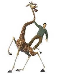 David Schwimmer voices Melman the giraffe in "Madagascar: Escape 2 Africa."
