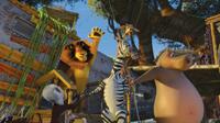 A scene from "Madagascar: Escape 2 Africa."