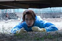 Emily Blunt in "Sunshine Cleaning."