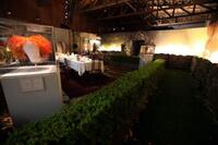 A scene from "Alice in Wonderland."