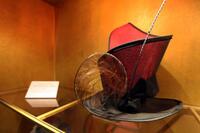 A scene from "Alice in Wonderland."