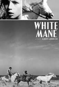 Poster art for "White Mane"