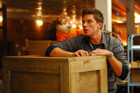 Matt Lanter as Will in "Disaster Movie."
