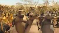 A scene from "Madagascar: Escape 2 Africa: The IMAX Experience."