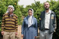 Tarik Kopty as Abu Hassam, Hiam Abbass as Salma Zidane and Ali Suliman as Ziad Daud in "Lemon Tree."