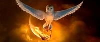 Jim Sturgess voices Soren in "Legend of the Guardians: The Owls of Ga'Hoole."