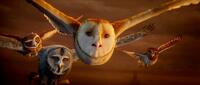 David Wenham voices Digger, Anthony LaPaglia voices Twilight, Jim Sturgess voices Soren and Emily Barclay voices Gylfie in "Legend of the Guardians: The Owls of Ga'Hoole."