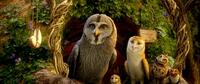 Anthony LaPaglia voices Twilight, Adrienne DeFaria voices Eglantine, Jim Sturgess voices Soren, David Wenham voices Digger and Emily Barclay voices Gylfie in "Legend of the Guardians: The Owls of Ga'Hoole."