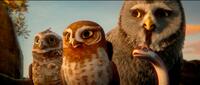 David Wenham voices Digger, Emily Barclay voices Gylfie, Anthony LaPaglia voices Twilight and Miriam Margolyes voices Mrs. Plithiver in "Legend of the Guardians: The Owls of Ga'Hoole."