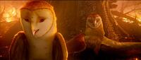Jim Sturgess voices Soren and Ryan Kwanten voices Kludd in "Legend of the Guardians: The Owls of Ga'Hoole."