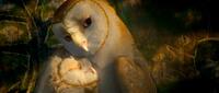 Adrienne DeFaria voices Eglantine and Jim Sturgess voices Soren in "Legend of the Guardians: The Owls of Ga'Hoole."