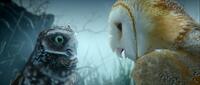 David Wenham voices Digger and Jim Sturgess voices Soren in "Legend of the Guardians: The Owls of Ga'Hoole."