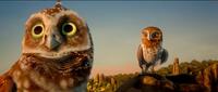 David Wenham voices Digger and Emily Barclay voices Gylfie in "Legend of the Guardians: The Owls of Ga'Hoole."